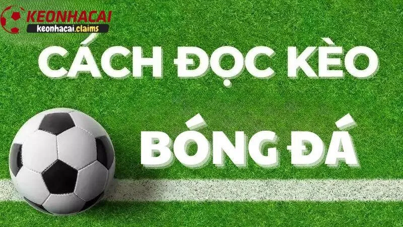 Kèo Nhà Cái – Bí Quyết Thắng Lớn Khi Cá Cược Bóng Đá Cách đọc và hiểu về tỷ lệ kèo nhà cái hiệu quả