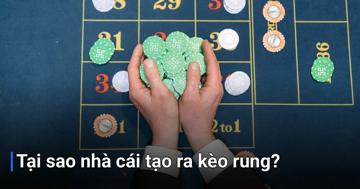 Nhiều người nghĩ nhà cái tạo kèo rung để